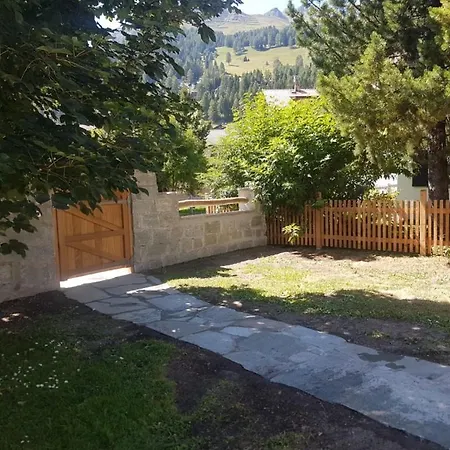 Silverbirch - Appartamento *