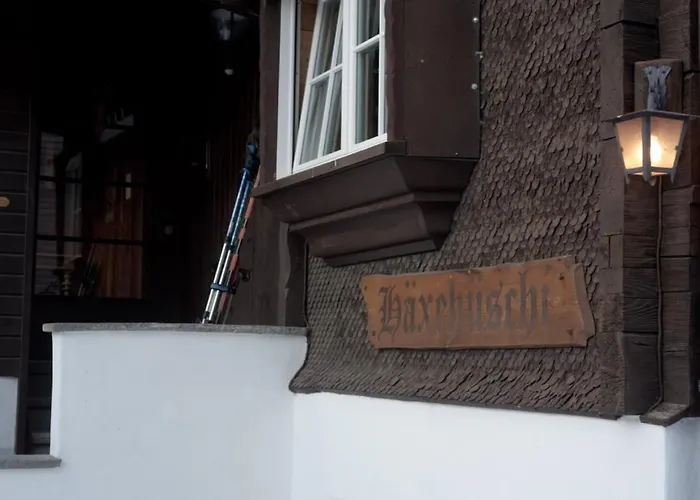 Silverbirch - * Davos