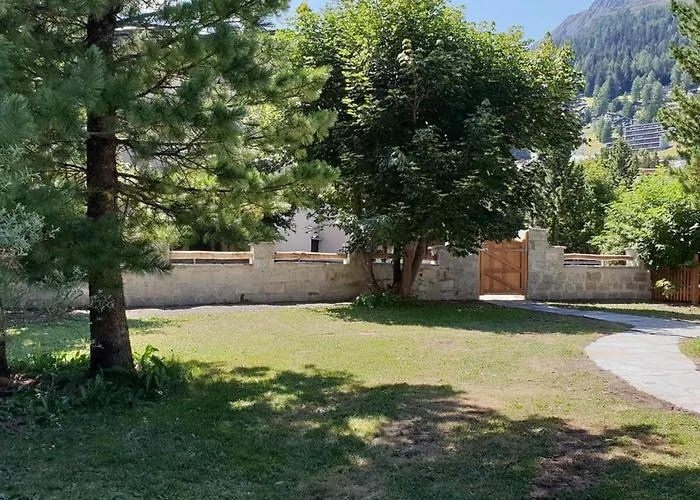 Silverbirch - * Davos