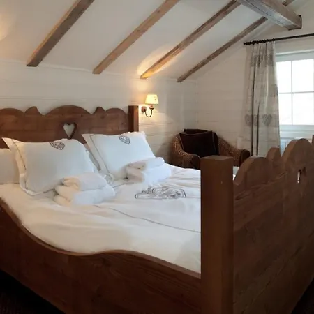 Daire Silverbirch - Ostrava