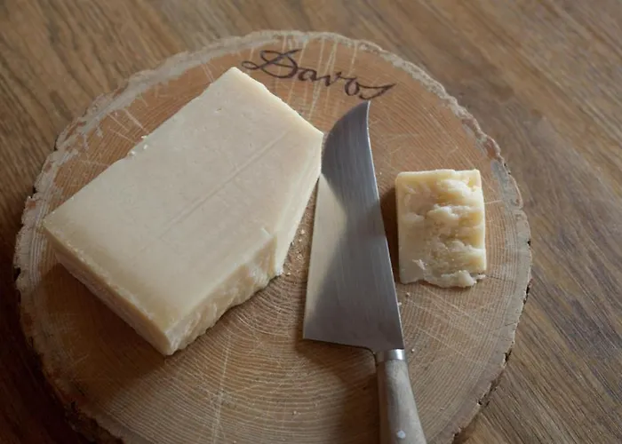 Silverbirch - Ostrava