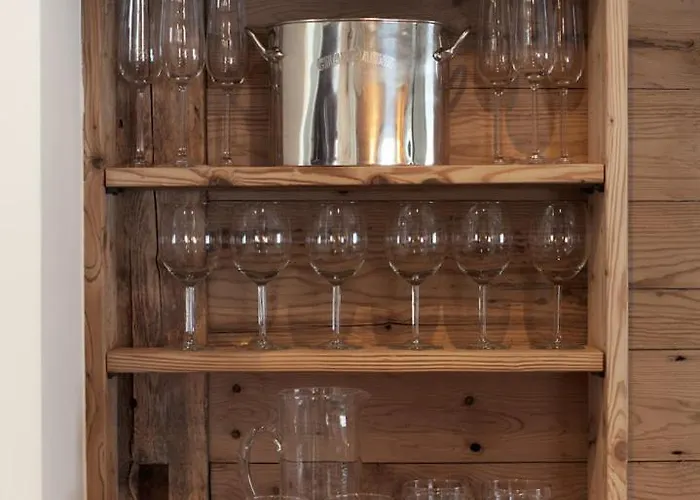 Silverbirch - * Ostrava